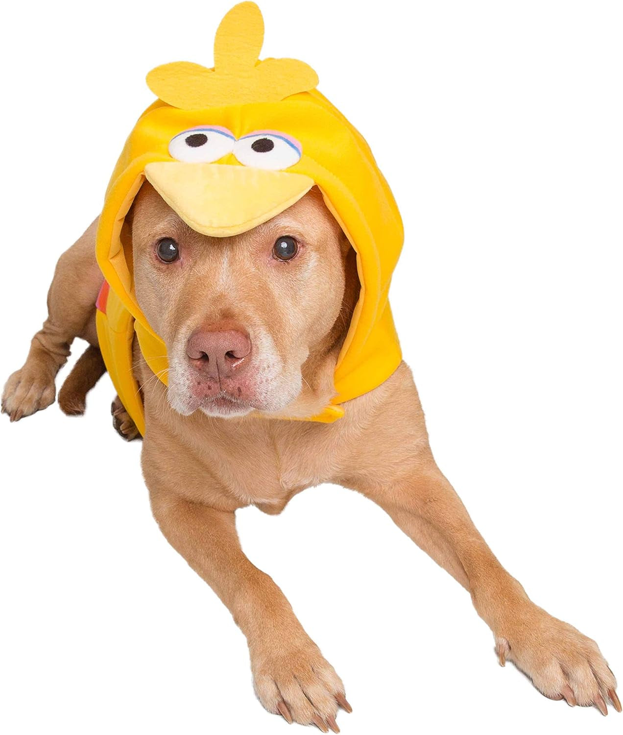 Pet Krewe Sesame Street Big Bird Hoodie Costume for Dogs and Cats - Ideal for Halloween, Christmas, Celebrations, Photoshoots, and Gifts for Pet Enthusiasts