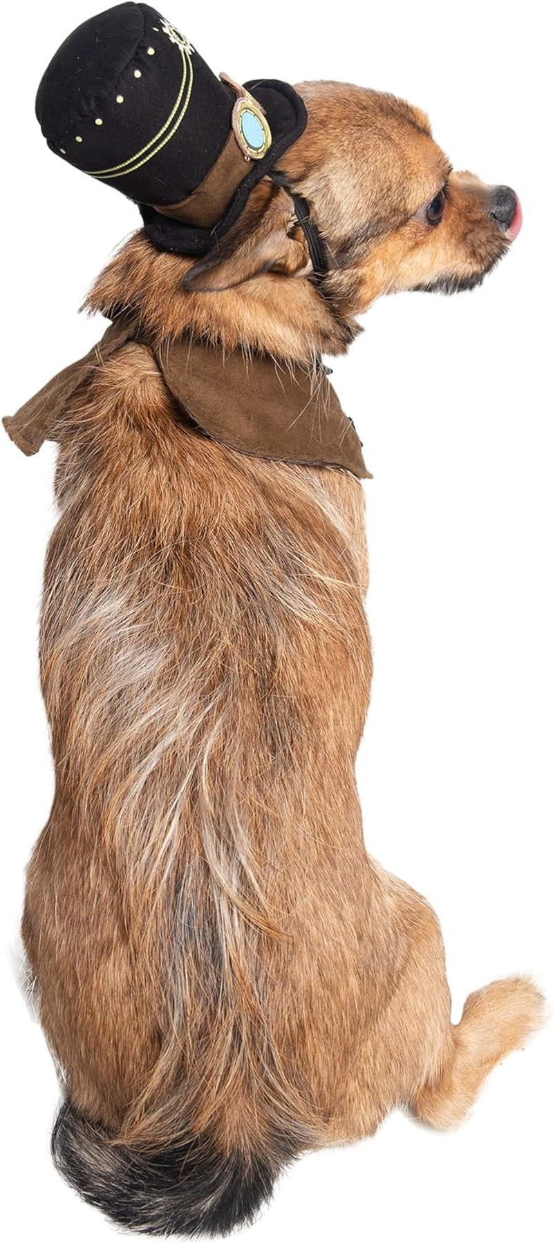 Steampunk-Inspired Costume Hat and Collar Set for Small Dogs and Cats - Ideal for Halloween, Christmas, Celebrations, Photoshoots, and Gifts for Pet Enthusiasts