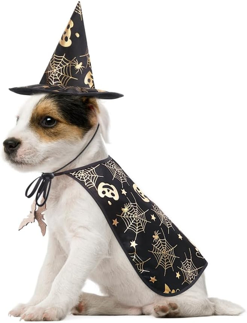 Pet Show Costume Cape and Hat for Dogs - Creative Halloween Cloak for Parties, Photos, and Everyday Wear