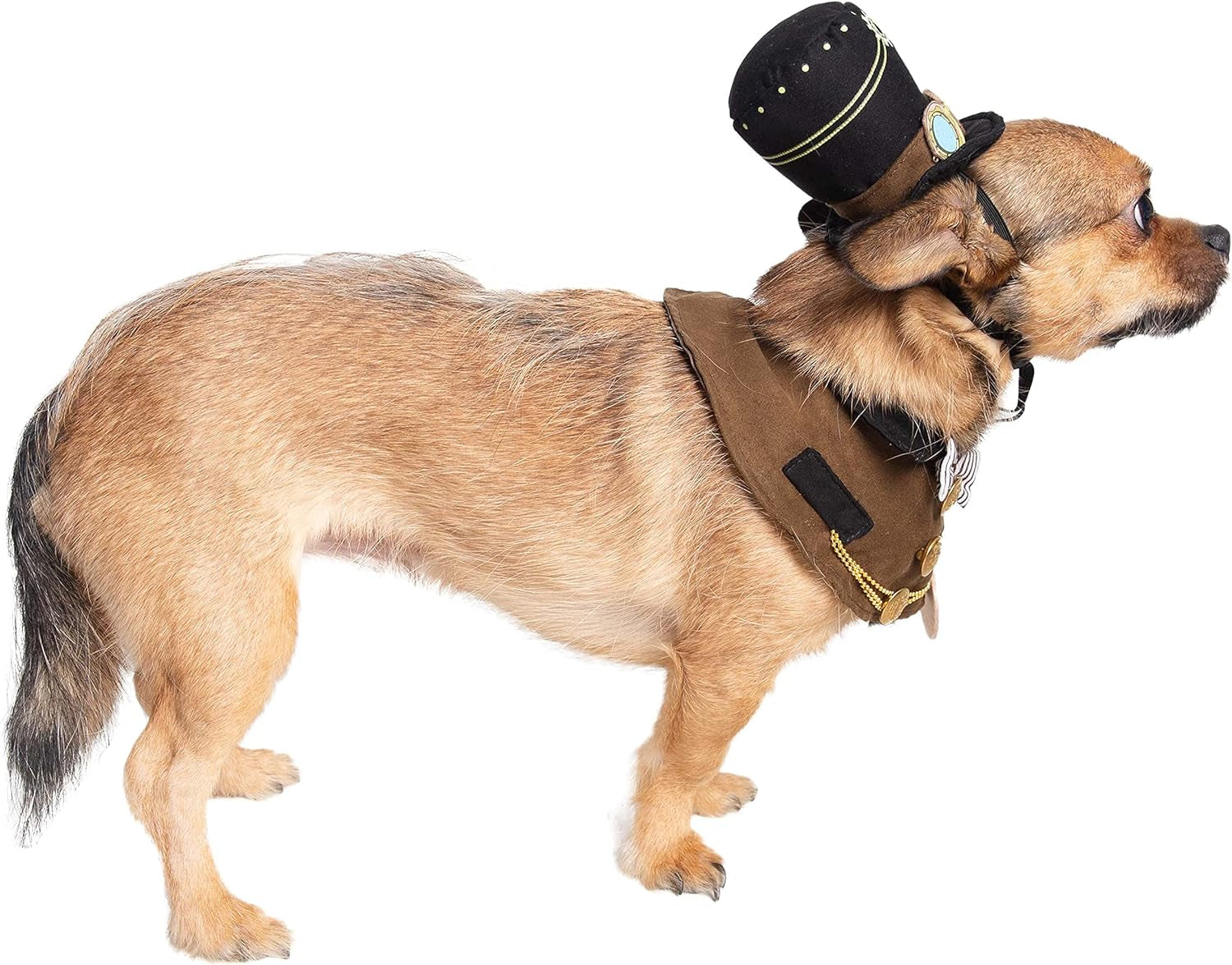 Steampunk-Inspired Costume Hat and Collar Set for Small Dogs and Cats - Ideal for Halloween, Christmas, Celebrations, Photoshoots, and Gifts for Pet Enthusiasts