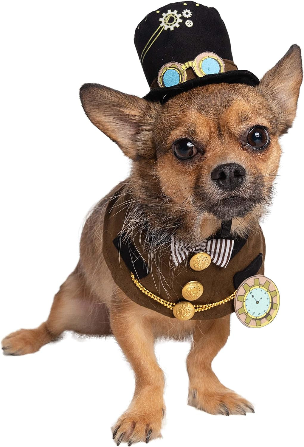 Steampunk-Inspired Costume Hat and Collar Set for Small Dogs and Cats - Ideal for Halloween, Christmas, Celebrations, Photoshoots, and Gifts for Pet Enthusiasts