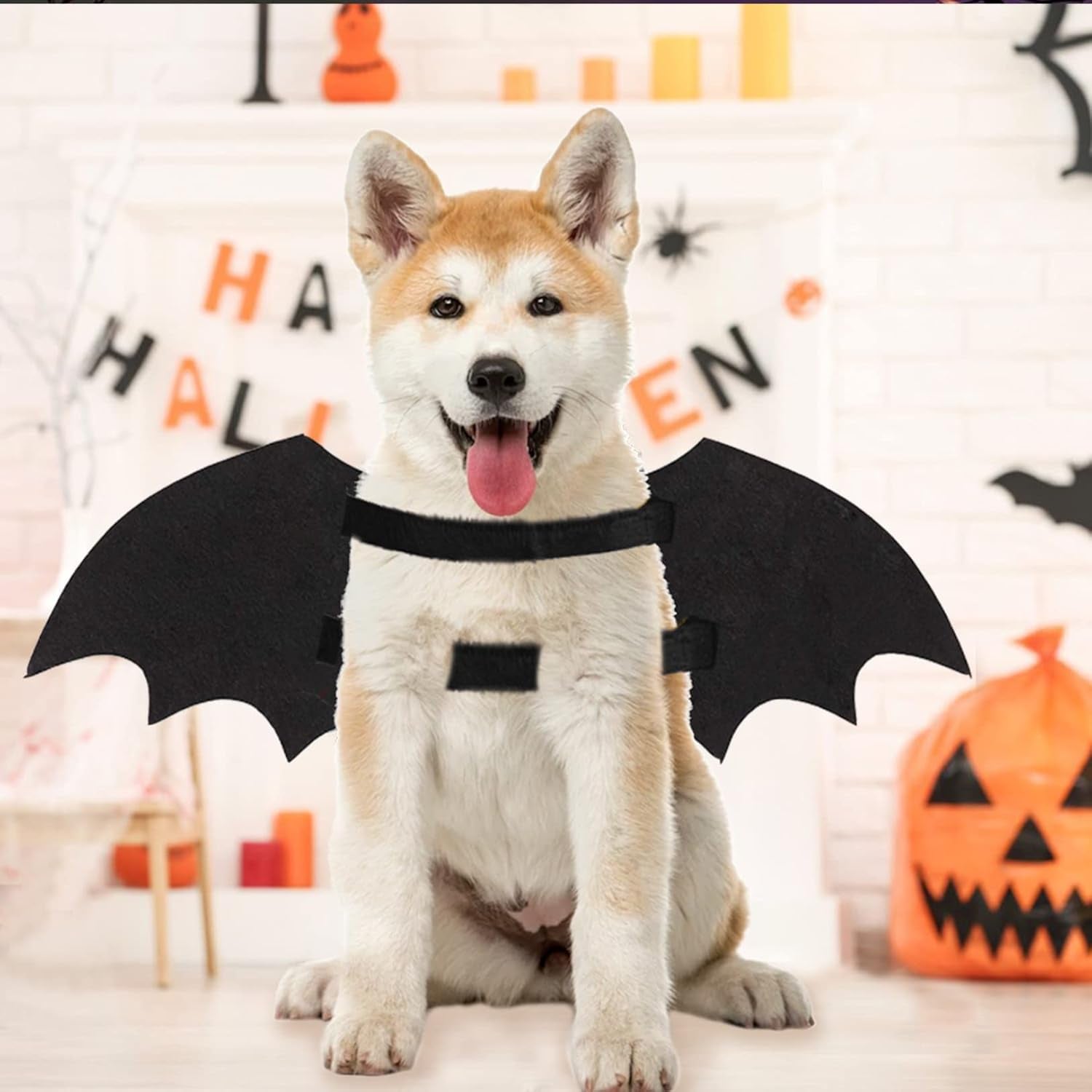 Luminous Skeleton Bone Bat Wings Halloween Costumes for Dogs and Cats - Stylish Dress-Up Apparel for Kittens and Puppies
