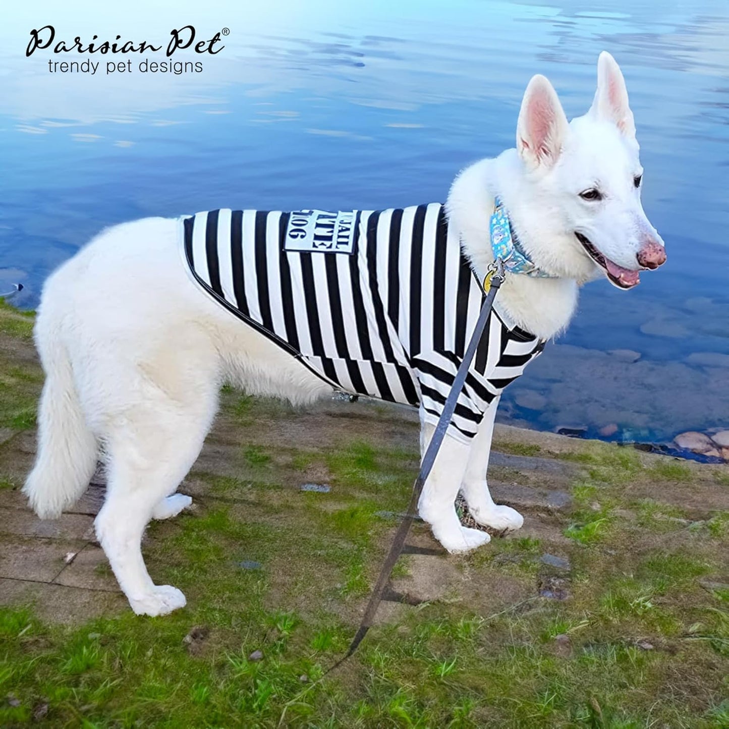 Prisoner Costumes - Prisoner Dog Halloween Costume - Halloween Shirts for Dogs - Black and White Strips Pet Clothes - Pet Halloween Costumes - Sleeved Pet Costume for Medium Dogs - M