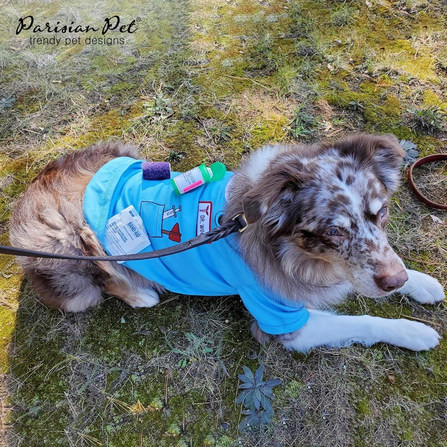 Dog Costume - Doctor Dog Costume - Halloween Shirt for Dogs - Doctor Cat Tshirt - Pet Halloween Tshirt - Shirt for Dogs - Sleeved Pet Tshirt - XL