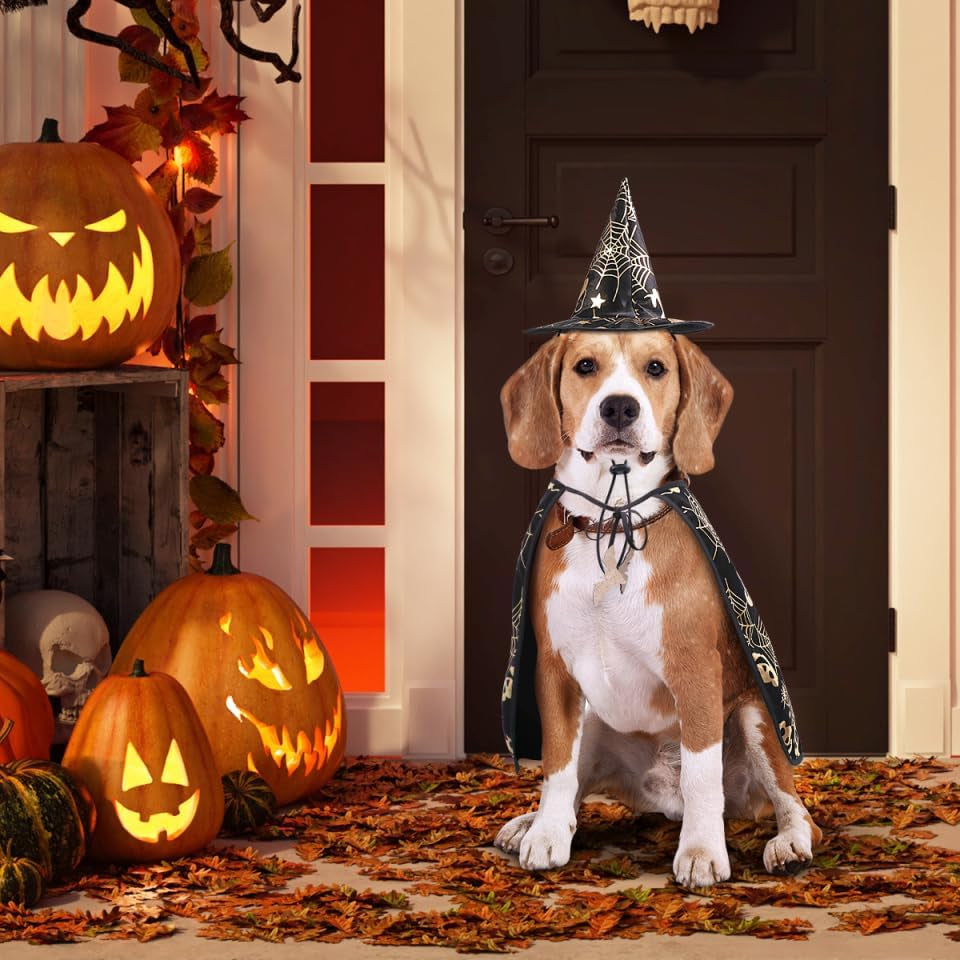 Pet Show Costume Cape and Hat for Dogs - Creative Halloween Cloak for Parties, Photos, and Everyday Wear