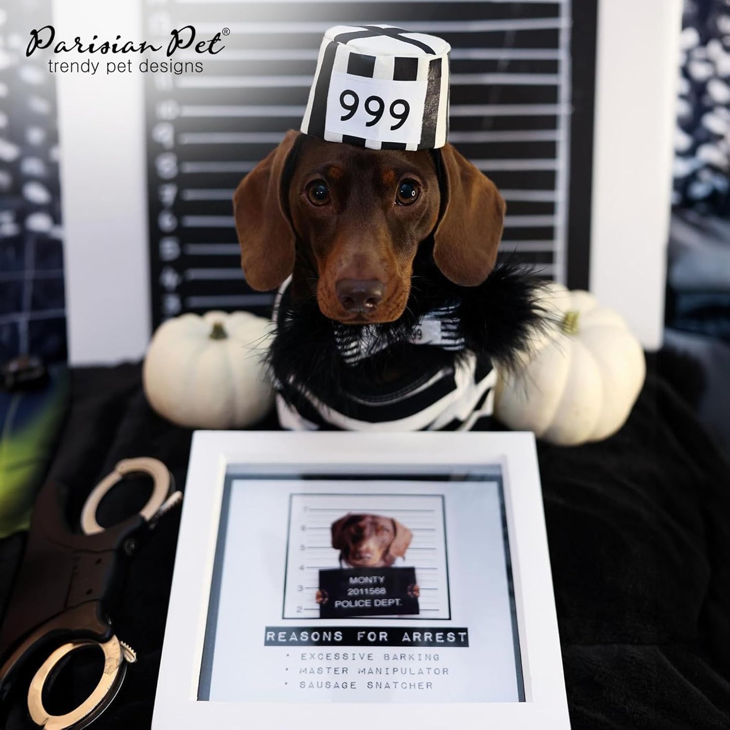 Prisoner Costumes - Prisoner Dog Halloween Costume - Halloween Shirts for Dogs - Black and White Strips Pet Clothes - Pet Halloween Costumes - Sleeved Pet Costume for Medium Dogs - M